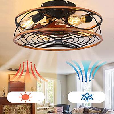 20'' Caged Bladeless Ceiling Fan with Light Reversible Motor & Remote  Control 