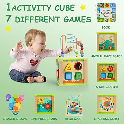 MINGKIDS Montessori Toys for 1 Year Old,Baby Sorter Toy 6 Pcs Multi Sensory  Shape, Toddler Developmental Learning Toys Birthday Gifts,Baby Toys