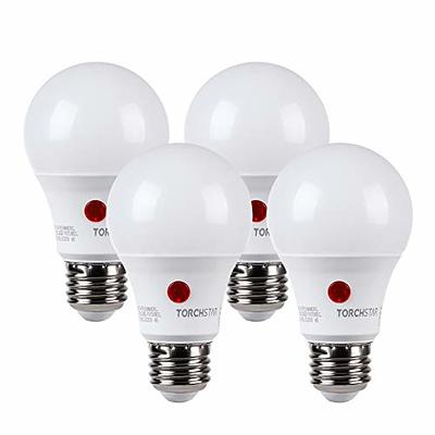 Mini Pack UVA Pin Mini Lamp, Red Turtle Night Heat Bulbs Yahoo Bulbs 6 Lamp Lizard, Dimmable 50W, Reptile, Infrared Bearded Heat Briignite G9 Light, for Base Reptile Heat Reptile 2 Dragon Shopping -