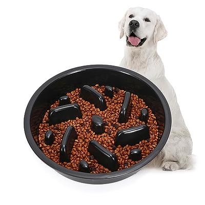 Puzzle Feeder Slow Feeder Dog Bowl, Dog Bowl for Dry, Wet, and Raw Food,  9.8 Inches Dog Food Puzzle Makes Mealtime Fun and Healthy, Dog Puzzle for  All