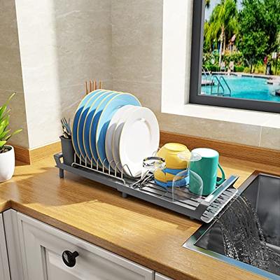  BASSTOP Dish Drying Rack, Dish Drainer for Kitchen Rustproof  Dish Dryer Rack for Countertop with Removable Utensil Holder and Adjustable  Swivel Spout, Dish Drainer in Sink, Organization Storage Shelf