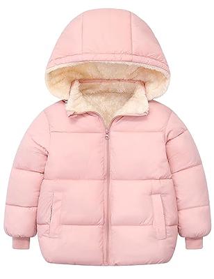 TUONROAD Toddler Coats for Girls 24 Months Baby Winter Puffer Jackets 2T 3T Kids  Thicken Fleece Down Alternative Clothes 2 3 Years Cute Princess Birthday  Dressing Up Zipper Hoodies Sweatshirts - Yahoo Shopping