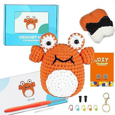  HEJIN Crochet Kit for Beginners, 6 PCS Beginner Crochet kit for  Adults Kids Include Videos Tutorials, 200% Yarn, Eyes, Stuffing, Crochet  Hook - Gift for Girl Birthday, Christmas