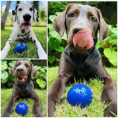 Hyper Chewz Ball or Bone Toy – Fun Time Dog Shop