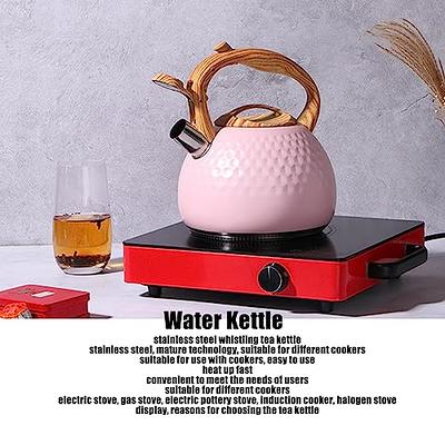 Restaurant Stove Gas Water Kettle Whistling Kettle Teapot for Trips  Teakettle
