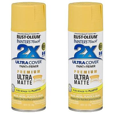 Rust-Oleum Painter's Touch 2X Ultra Cover 12 Oz. Satin Paint + Primer Spray  Paint, Lagoon - Carr Hardware