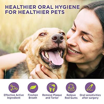 Remedy+Recovery Liquid Bandage for Dogs and Sulfodene Dog Wound Care  Ointment, Relieves Pain & Prevents Infection For Dog Cuts, Scrapes, Bites  and