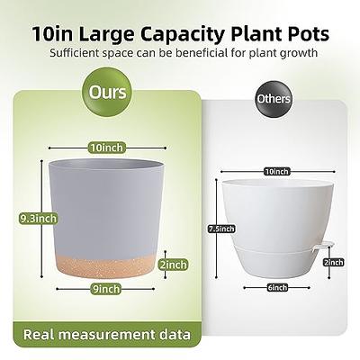 QCQHDU Plant Pots Set of 2 Pack 10 inch,Planters for Indoor Plants with  Drainage Holes and Removable Base,Saucer Modern Decorative for Outdoor  Garden Planters(Light Grey 10in) - Yahoo Shopping