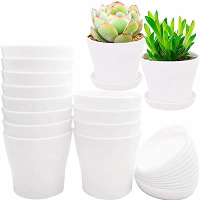 WOUSIWER 16 Pack 6 inch Plastic Planters for Indoor Flower Pots, Heavy Duty  and Stylish 6 Inch Plant Pots for Indoor Plants with Drainage Holes and  Tray for Plants, Flowers, Black - Yahoo Shopping