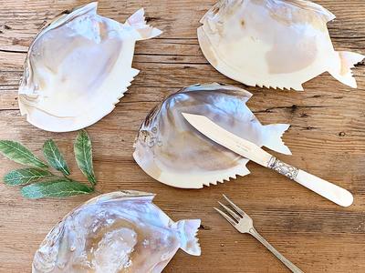 Large White Abalone Seashell Resin Trinket Dish