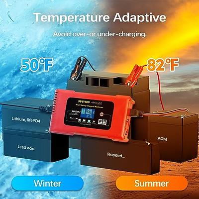 SDLOOL Golf Cart Battery Charger 36V 18A and 48V 13A, Car Battery Charger  Smart Trickle Charger Lithium LiFePO4 Lead-Acid AGM/Gel/SLA Battery Charger  for Club Car Car Truck Boat - Yahoo Shopping