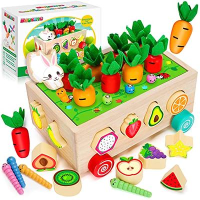 BEAUAM Toddlers Montessori Educational Toys for Boys 2 3 4 Year