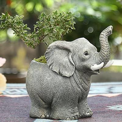 Ylncicn Resin Elephant Planter Pot for Succulent Indoor 6 x 5 x 7 inches -  Yahoo Shopping