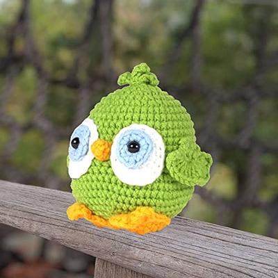 Anihee Crochet Kit for Beginners with Step-by-Step Video Tutorials, Beginners  Crochet Kit for Kids and Adults, Crochet Starter Kit DIY Craft Art - Boys  and Girls Birthdays Gift - Bird - Yahoo