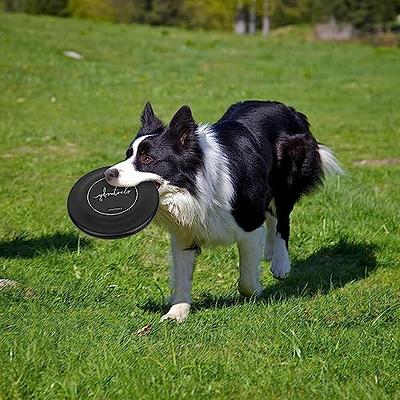 Silicone Dog Border Collie, Silicone Flying Saucer