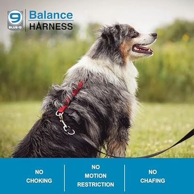 Blue-9 Buckle-Neck Balance Harness, Fully Customizable Fit No-Pull Harness,  Ideal for Dog Training and Obedience, Made in The USA, Red, Medium/Large -  Yahoo Shopping