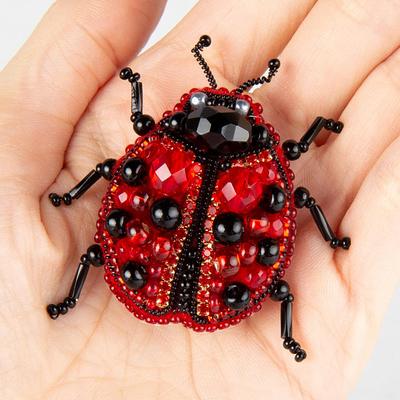 Bugs Craft Kit