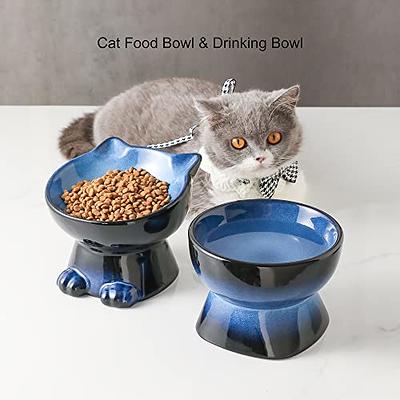 Pet Supplies : Nihow Dog Food & Water Bowl Set: Elevated Ceramic