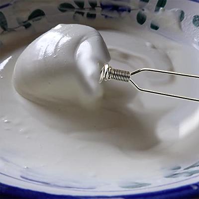 Stainless Steel Spring Coil Whisk, Wire Whip Cream Egg Beater