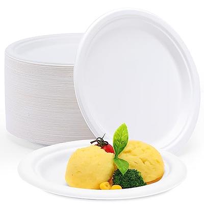 Greconv 300 Pack Paper Plates Bulk, Small Paper Plates 6 inch, Dessert Paper  Plates Disposable, Compostable Paper Plates Made from Sugarcane Fibers,  Recycled Paper Plates, White - Yahoo Shopping