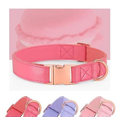 ARING PET Velvet Dog Collar, Unique Pink Dog Collars with Detachable Felt  Flower, Adjustable Soft Velvet Dogs Collar Flower with Metal Buckle for