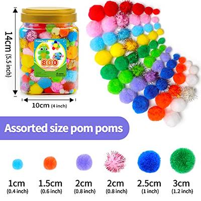 Praisebank Multi-Colored Pom poms, 800pcs Assorted Size, Pom Poms for Arts  and Crafts, Pom Pom Balls in jar,Pom Poms for Crafts. - Yahoo Shopping