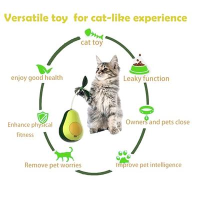 Wmicaldom 3-in-1 Interactive cat Toys Puzzle Leakage Food Device