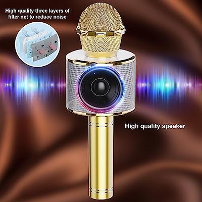 Wireless Bluetooth Karaoke Microphone Handheld Mic Speaker Home