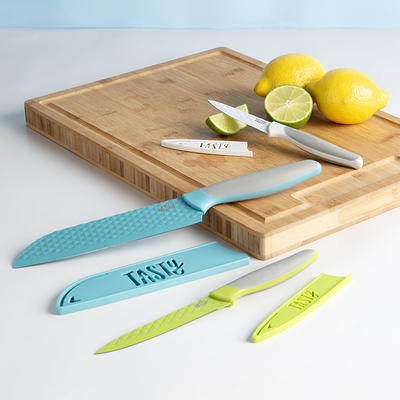 Tasty 4 Piece Stainless Steel Steak Knife Set, Serrated Edge