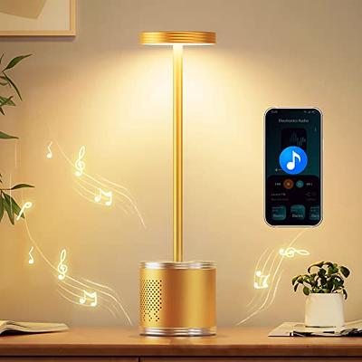 Portable Cordless Led Table lamp - 8000mAh Rechargeable Battery Operated  Desk Light: 3 Color Steples…See more Portable Cordless Led Table lamp 