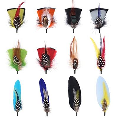 Hat Feathers, 10 Pcs Assorted Natural Feather Packs Accessories for Fedora, Cowboy, Open Road, Borges, Scott, Trilby Hats