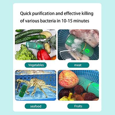 Fruit Vegetable Cleaning Machine, Portable Ultrasonic Washing Machine  Cleaner, USB Wireless Fruit and Vegetable Cleaner, Household Kitchen Food  Purifier for Fruits, Vegetables, Rice, Meat 