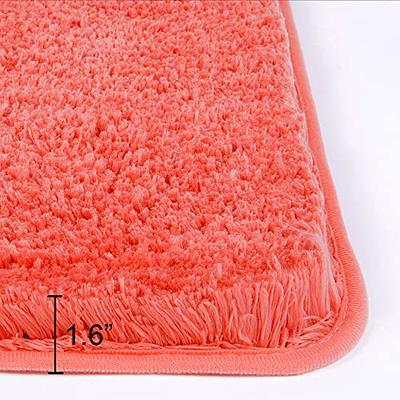 walensee Walensee Large Bathroom Rug (24 x 40, Beige) Extra Soft and  Absorbent Shaggy Bathroom Mat Machine Washable Microfiber Bath Mat f