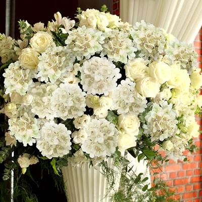 Colorful Preserved Hydrangeas Flower Head Dried Hydrangea Flowers DIY Home  Party Wedding Arch Background Wall Decorative Flower