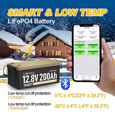 LiTime 12V 100Ah LiFePO4 Battery, Smart BMS with Low Temp Cut Off