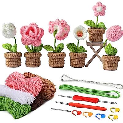  HEJIN Crochet Kit for Beginners, 6 PCS Beginner Crochet kit for  Adults Kids Include Videos Tutorials, 200% Yarn, Eyes, Stuffing, Crochet  Hook - Gift for Girl Birthday, Christmas