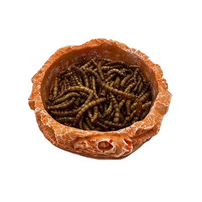 Mealworm Feeder / Water Dish (Small)