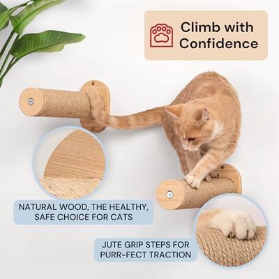 Cat Wall Scratcher Sisal Fabric,Cat Scratcher Wall Mount,Cat Scratching  Post for Indoor Cats,Cat Scratch Pad for Wall,Floor,Door,Window,with  Suction Cup and Adhesive Pad (Orange) - Yahoo Shopping