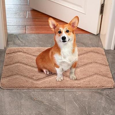 My Doggy Place Ultra-Absorbent Dog Doormat: Navy Blue/Medium