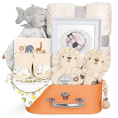 iAOVUEBY Baby Shower Gifts, Baby Boy Gifts, Christmas Baby Gift Set for  Newborn Essentials Baby Blanket Elephant Lovey Wooden Rattle, Infant Bibs