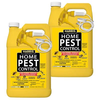 BUGMD Pest Control Essential Oil Concentrate 3.7 oz - Plant Powered Bug  Spray, Kills Bugs Spiders Fleas Ticks Roaches, Ant Spray Indoor, Ant Killer
