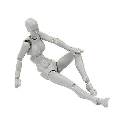 Body Kun Doll, Artists Manikin Blockhead Jointed Mannequin Drawing Figures  for Figure Model Male+Female Set (Grey)