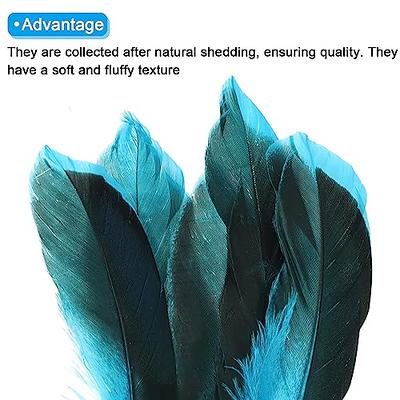 PATIKIL 4-6 Inch Natural Feathers, 150 Pack Bulk Feathers for