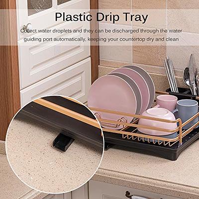 Dish Drying Rack, Kitchen Dish Drainer Rack, Expandable(13.2-19.7)  Stainless Steel Sink Organizer Dish Rack and Drainboard Set with Utensil  Holder