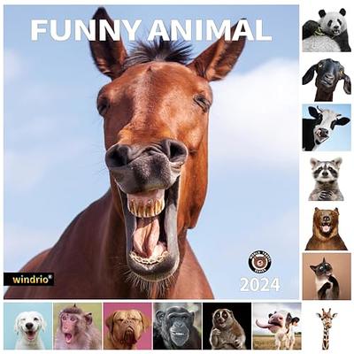 DONKEY FUNNY Wall Calendar 2024 Farm Animal GAG Lover Gift