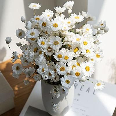  CITYES Dried Daisy Flowers Bouquet Dried Flowers White with  Stems Real Chrysanthemum Gerber Daisies Arrangements for Wedding Farmhouse  Vase Decorations DIY Home Party Wildflower Decor : Home & Kitchen