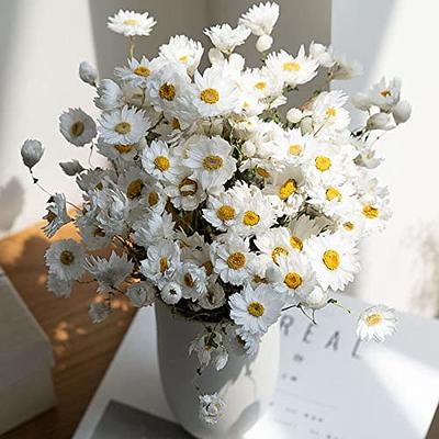 Dried Daisy Flowers Bouquet,Natural Dry White Flowers, Artificial  Sunflowers,Daisies Arrangements for Farmhouse Vase Party Decor