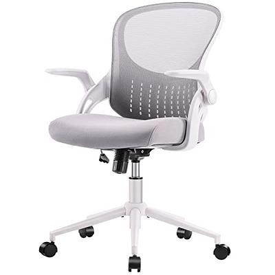  Mesh Ergonomic Office Chair with Flip Up Arms, High Back Desk  Chair-High Adjustable Headrest, Tilt Function, Lumbar Support Swivel Computer  Chair, Task Chair, Executive Chair, Gray : Home & Kitchen