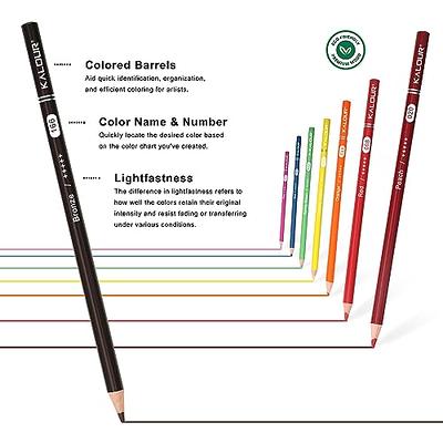 Premium 72 Colored Pencil Set - Includes Pencil Organizer, Travel Case,  Pencil Sharpener, Mini Coloring Book, and Gift Box