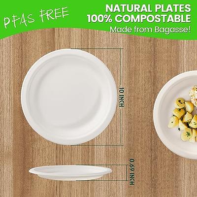 100% Compostable Disposable Paper Plates [125-Pack] - (PFAS-Free